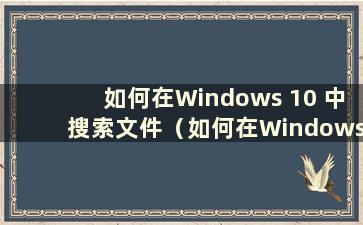 如何在Windows 10 中搜索文件（如何在Windows 10 中搜索文件或文件夹）